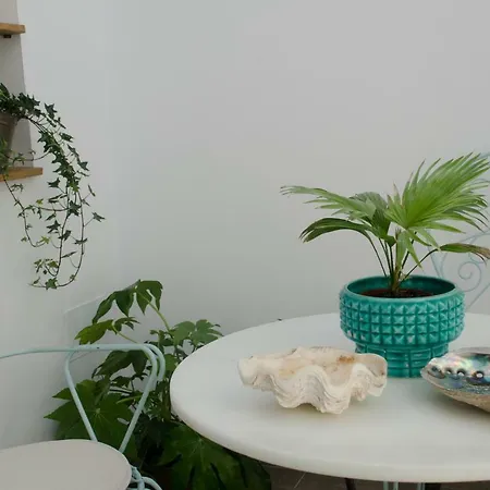 Apartamento Casa 